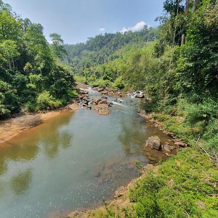 Rainforest River Bay Deniyaya Dış mekan fotoğraf