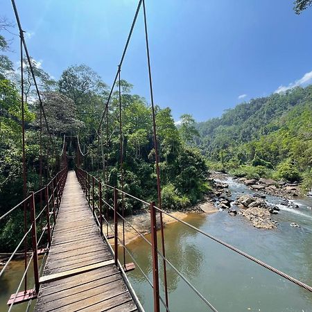 Rainforest River Bay Deniyaya Dış mekan fotoğraf