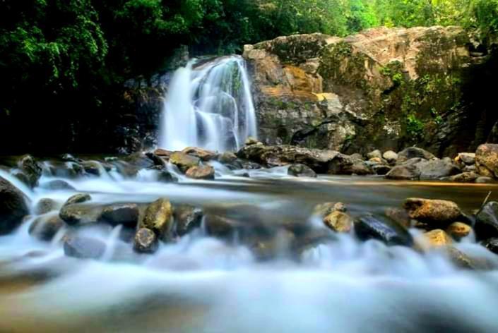 Rainforest River Bay Deniyaya Dış mekan fotoğraf
