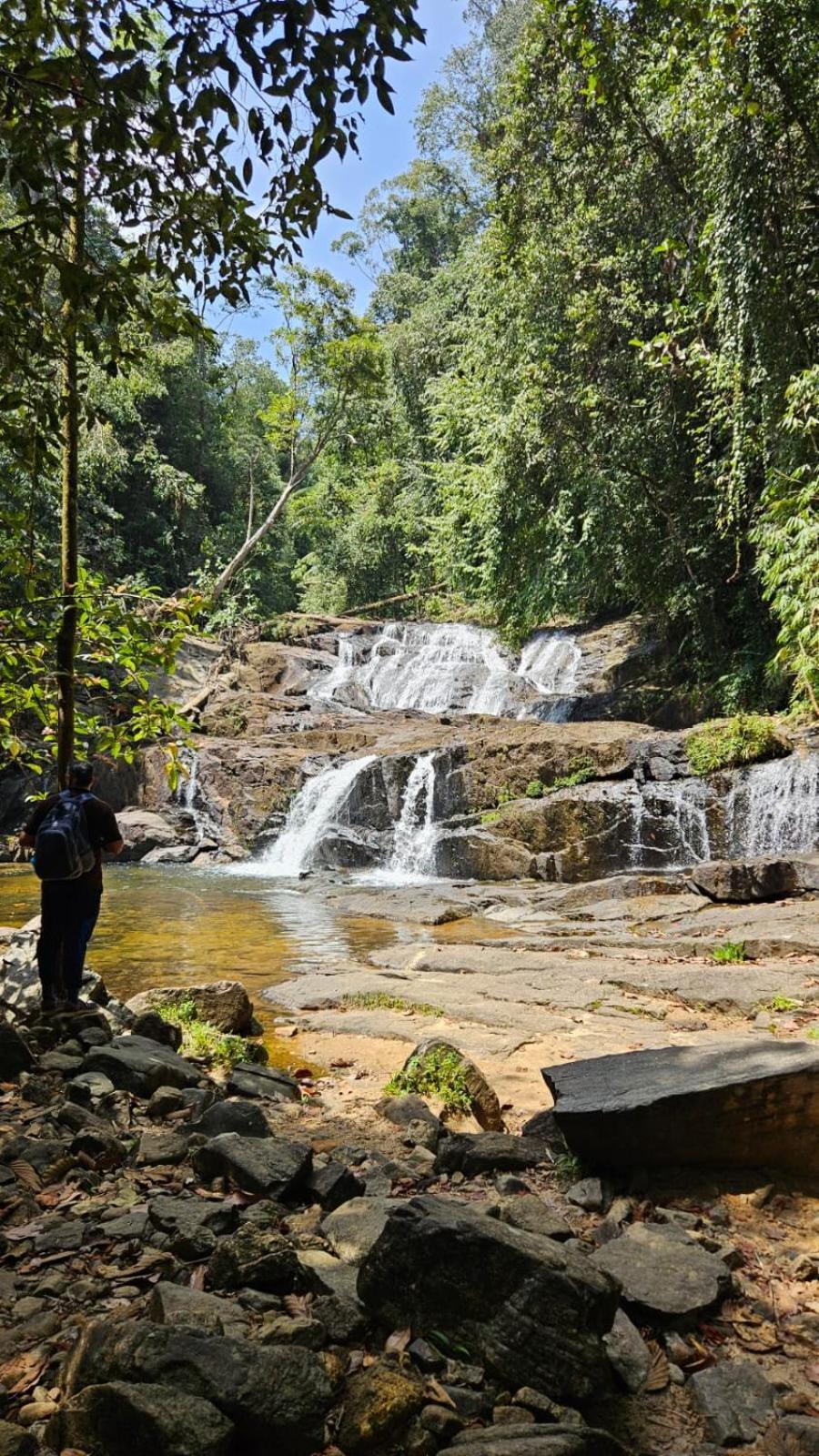 Rainforest River Bay Deniyaya Dış mekan fotoğraf