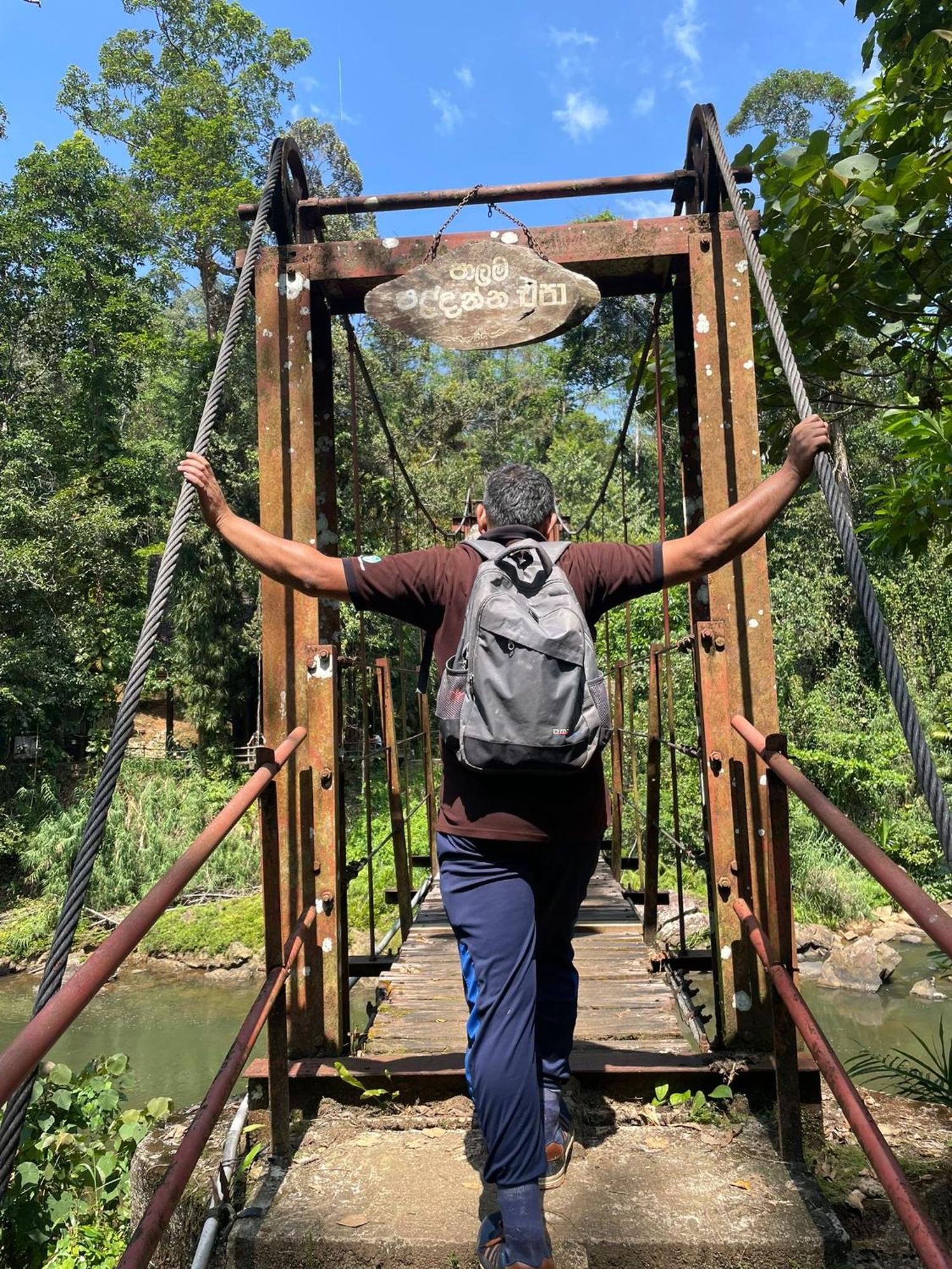 Rainforest River Bay Deniyaya Dış mekan fotoğraf