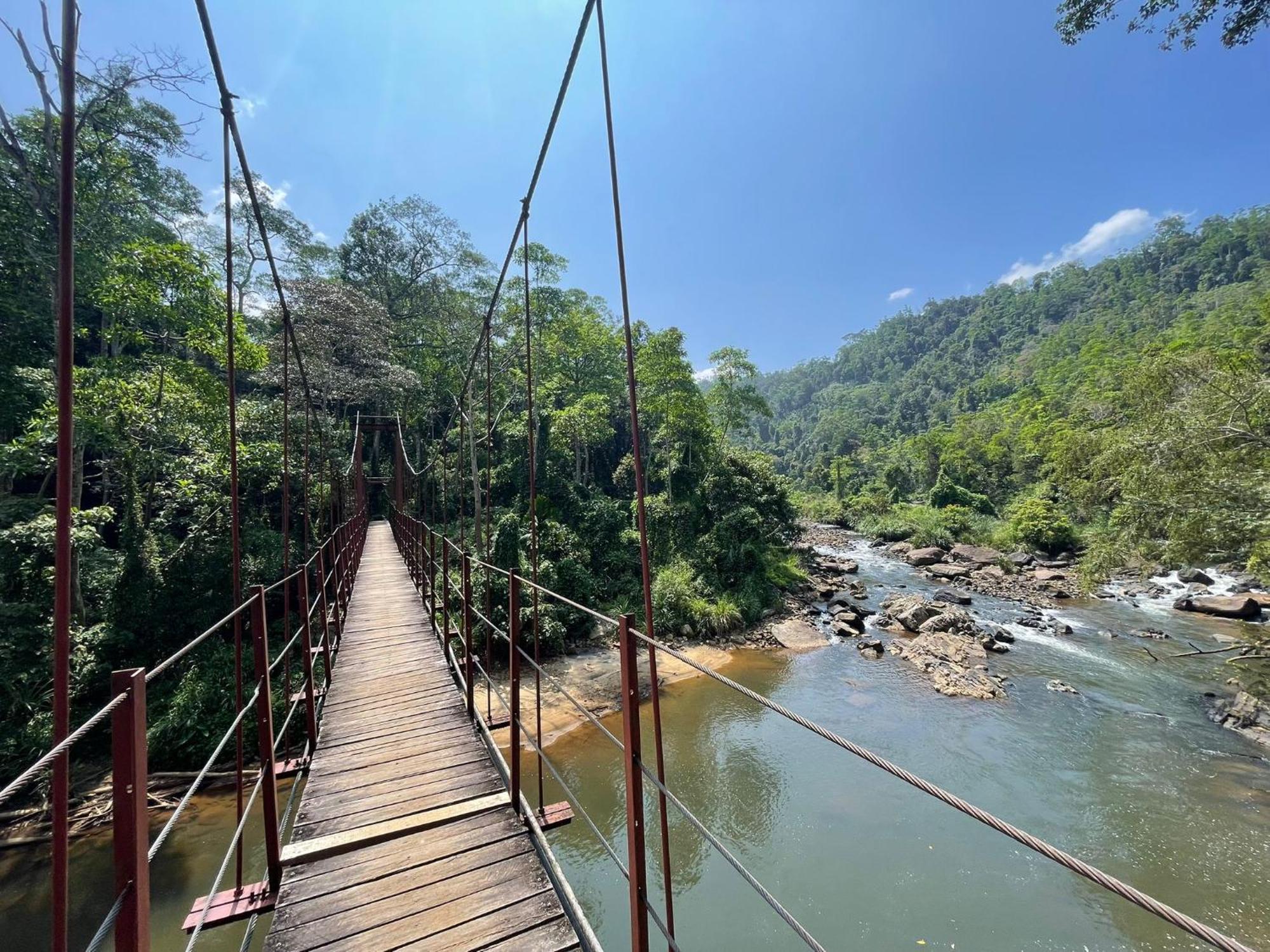Rainforest River Bay Deniyaya Dış mekan fotoğraf